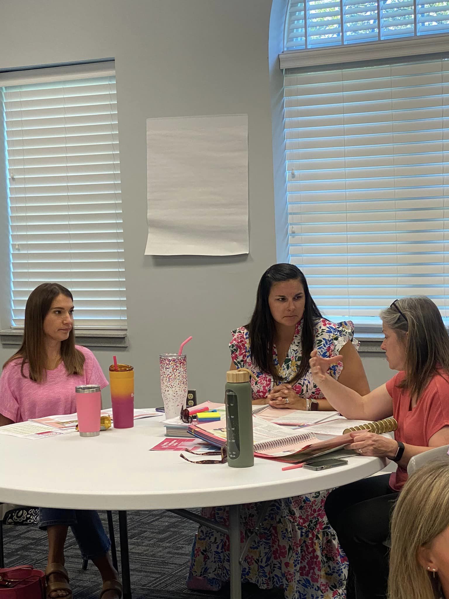 CCSS Teachers Participate in Summer Professional Development