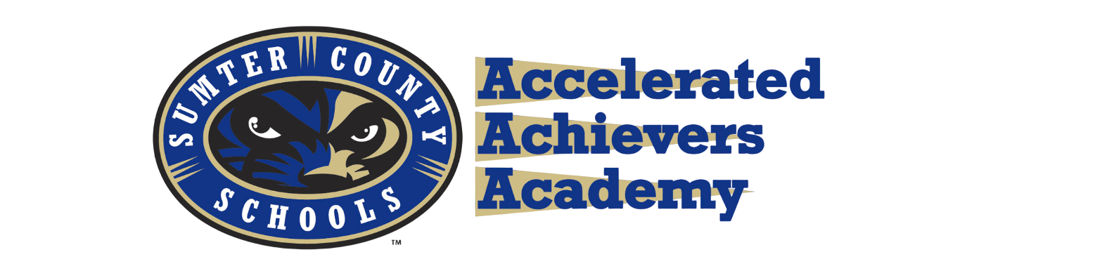 Accelerated Achievers Academy