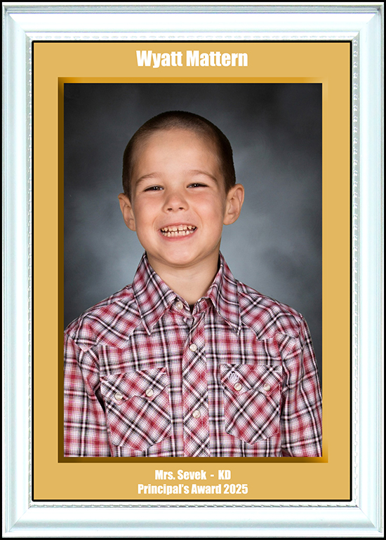 KD Principal's Award