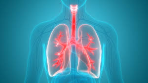 Pulmonary Project Resources