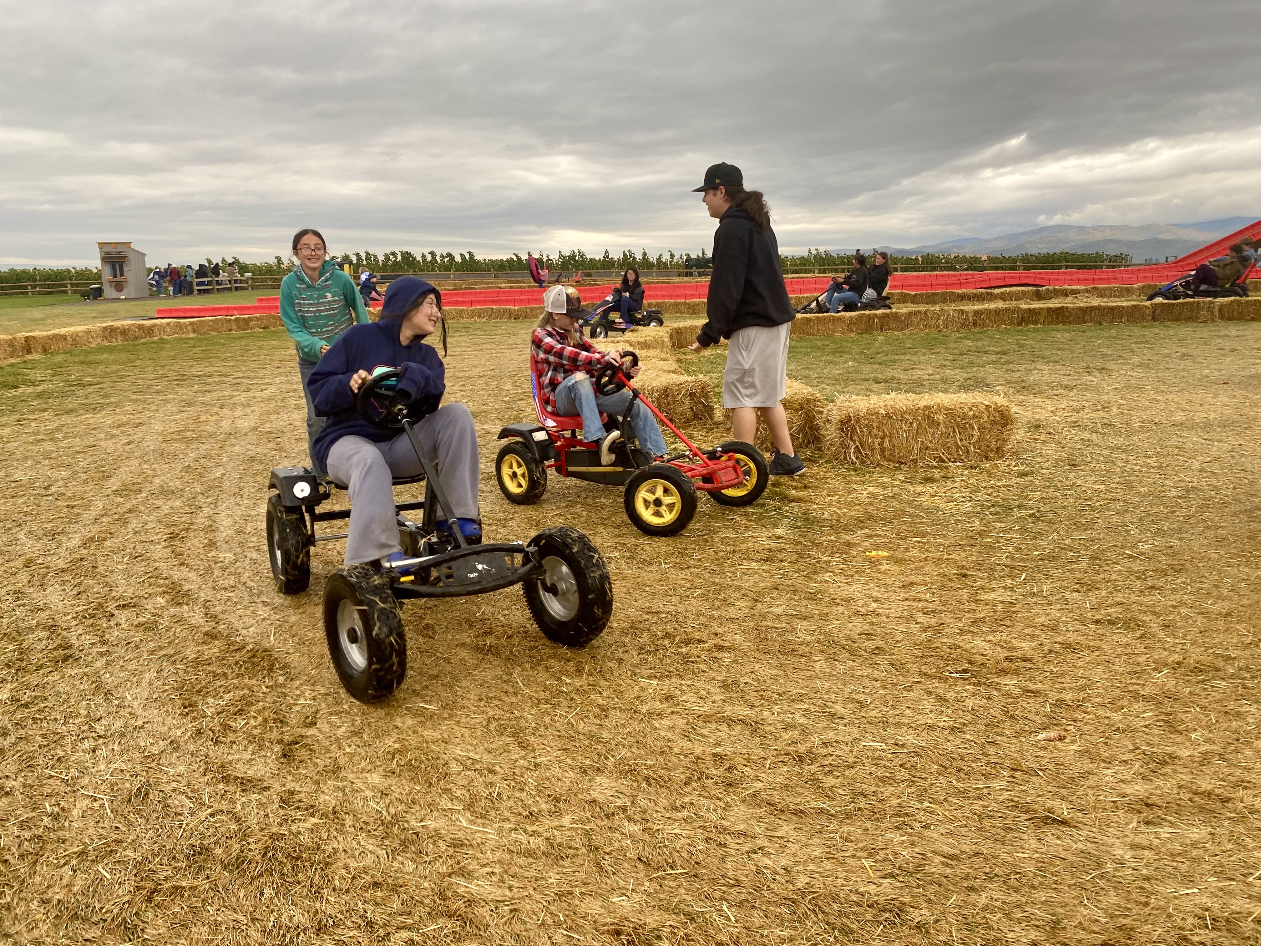 Pumpkin Patch