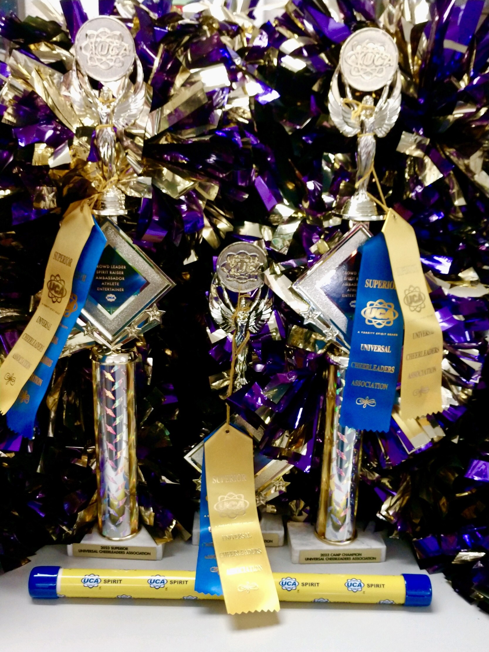 Get ready for summer camp!
23 Camp Awards
