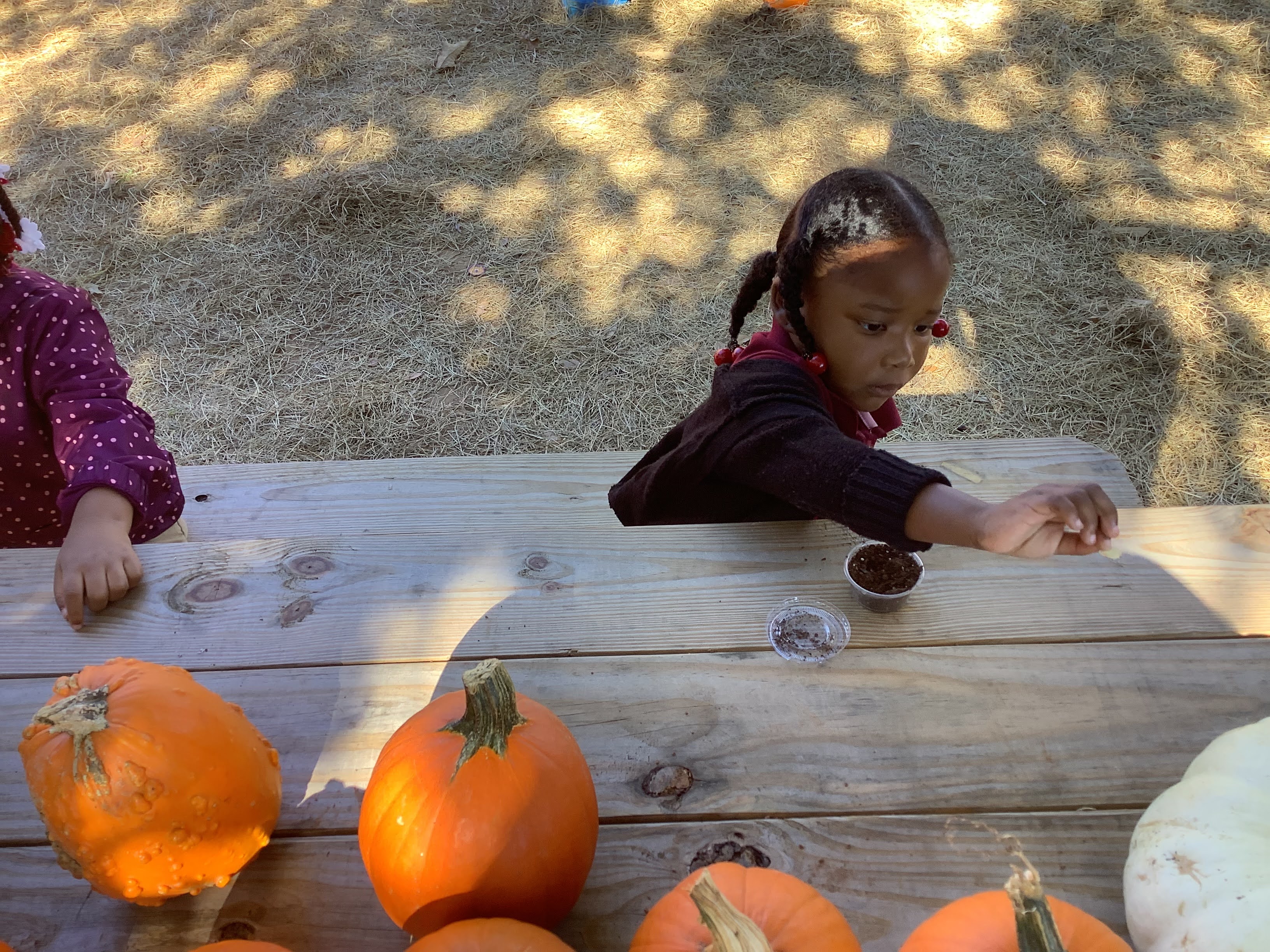 Preschool 3 Pumpkin Patch Field Trip
