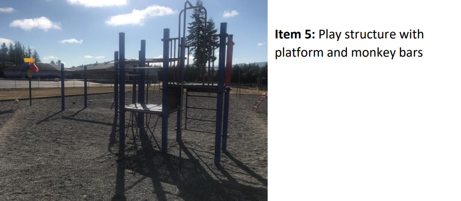 Play Structure with platform and monkey bars
