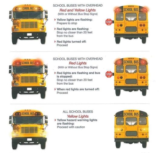 School Bus Safety Tips when reds lights are flashing