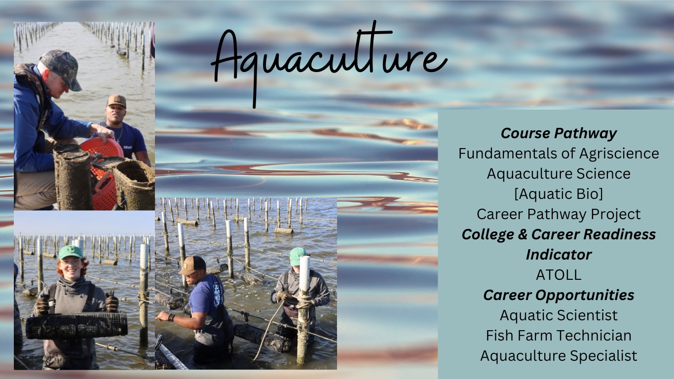 Aquaculture