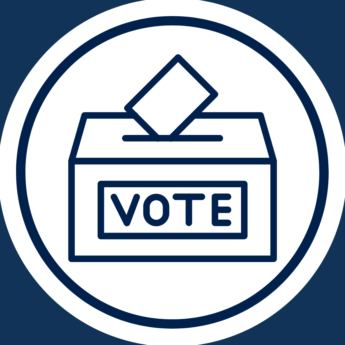 Election 2026 information bullet