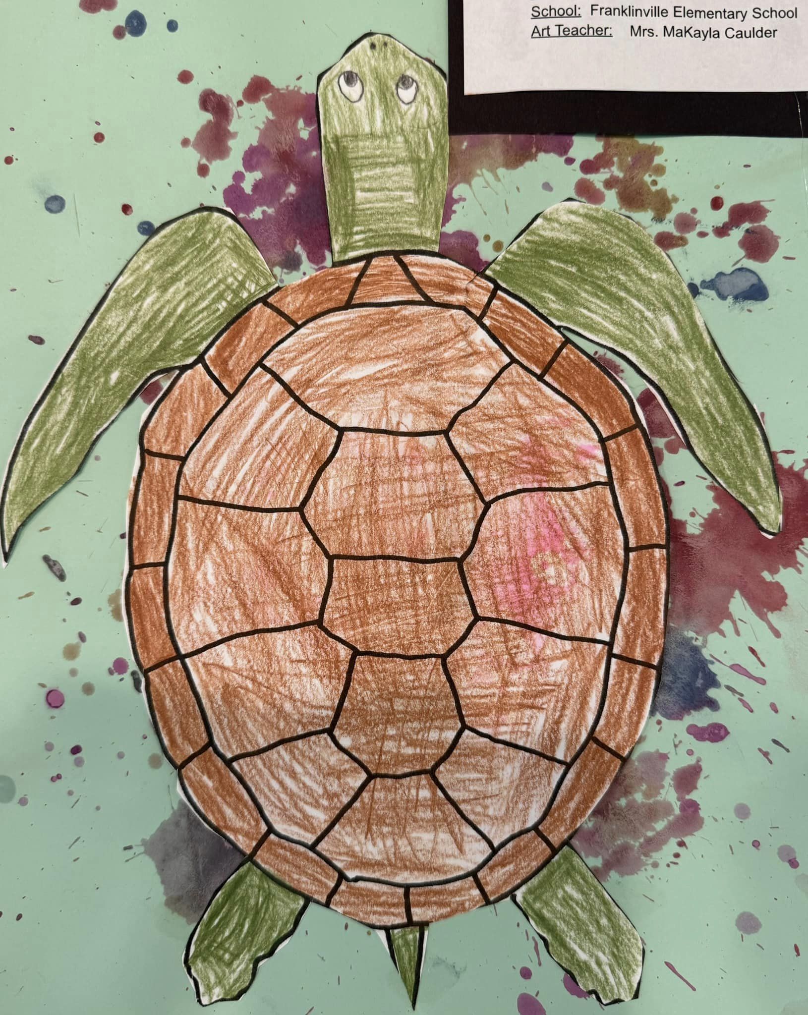 Turtle Art for May