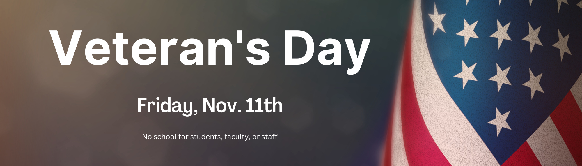 Veterans day flag