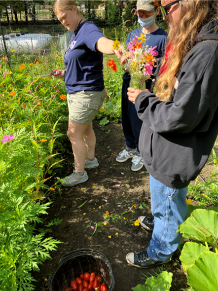 Students in garden