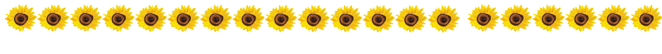 row of sunflowers