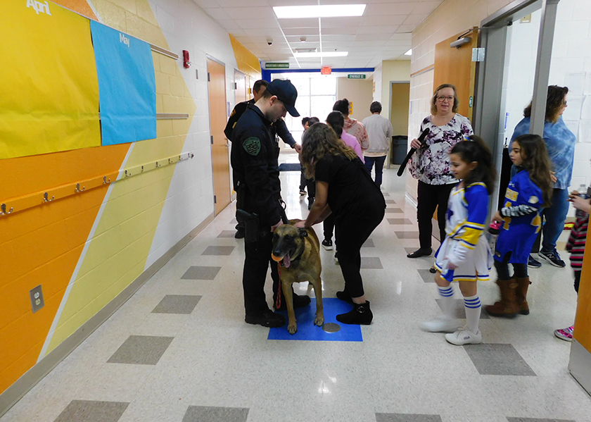K9 Hunter enjoys pets from the students
