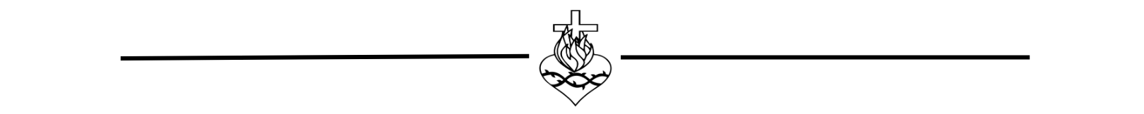 line divider-BLACK