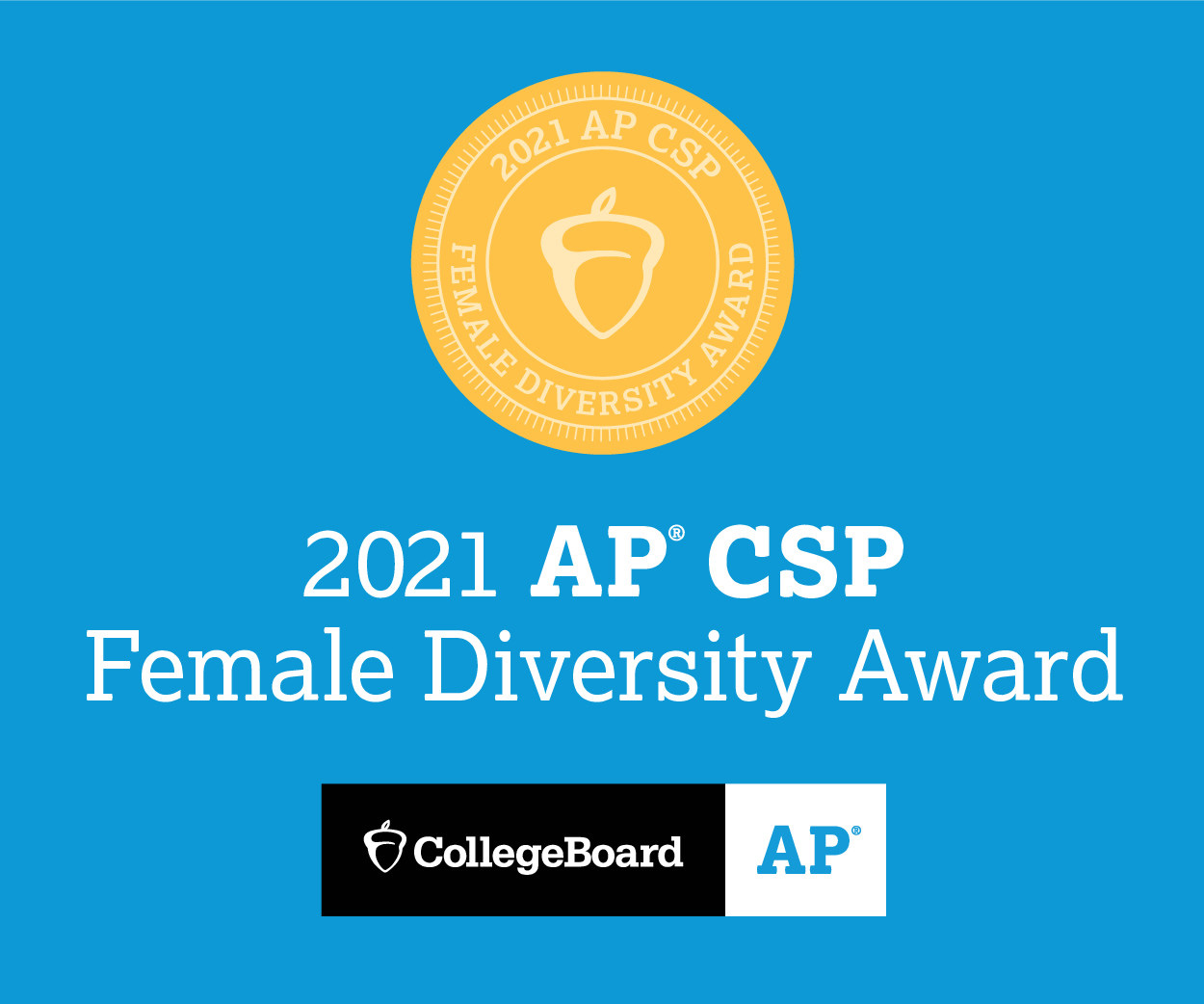 Award Icon for 2021 AP CSP Female Diversity Award