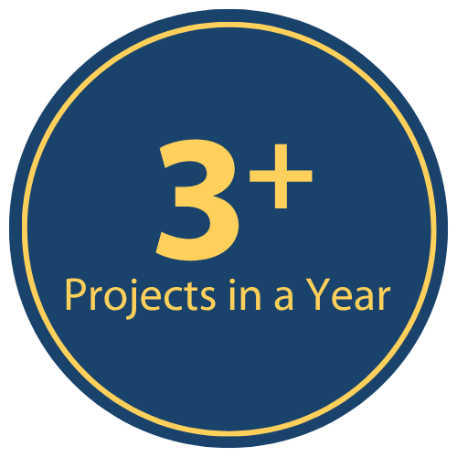 7 Project in the Year