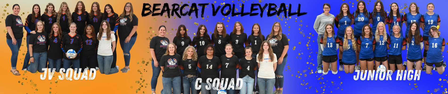 Volleyball