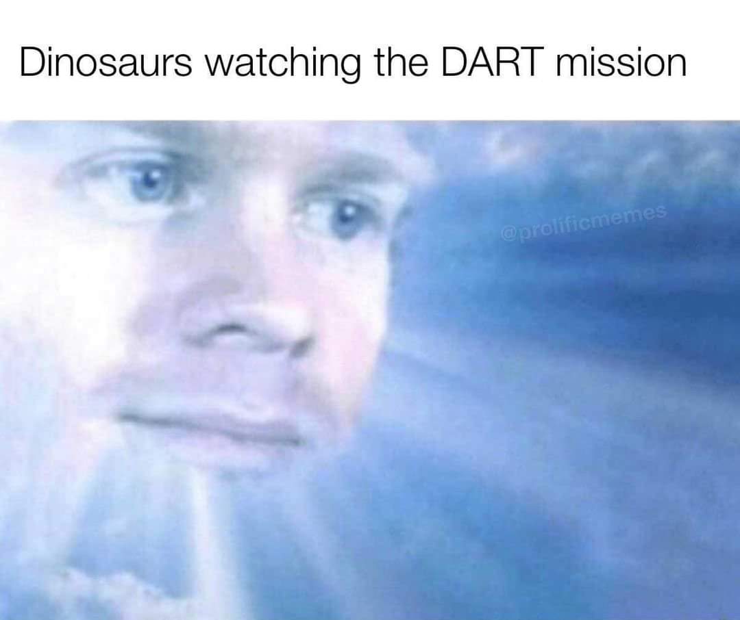 If only the DART mission existed 65 million years ago. If only the DART mission existed 65 million years ago.