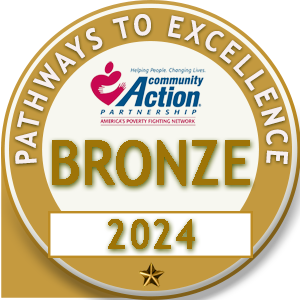 Bronze badge