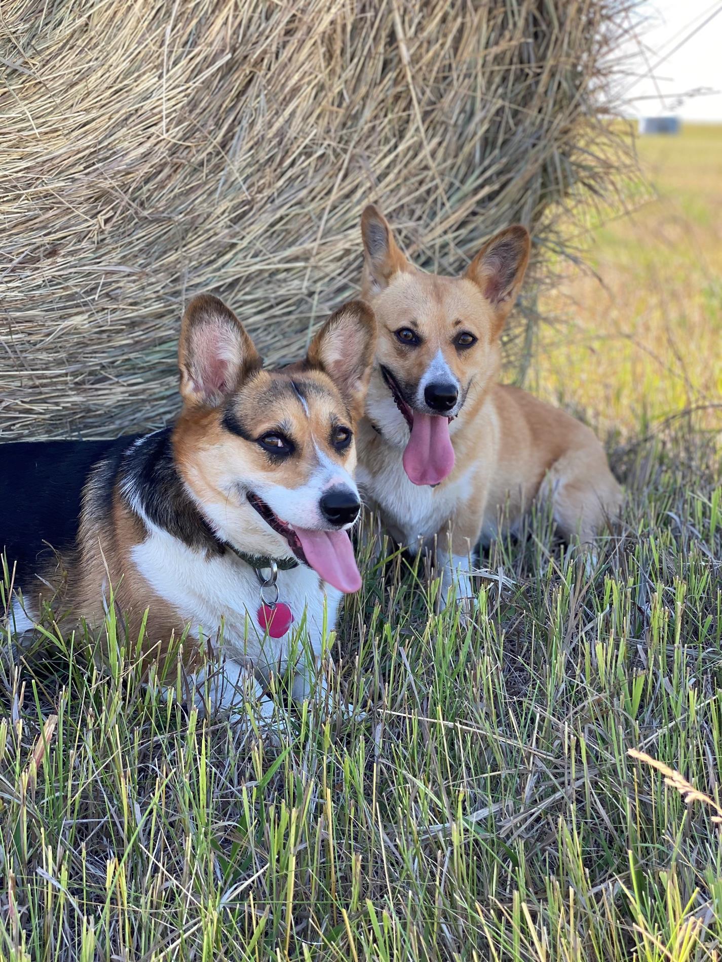 Kodi & Emma