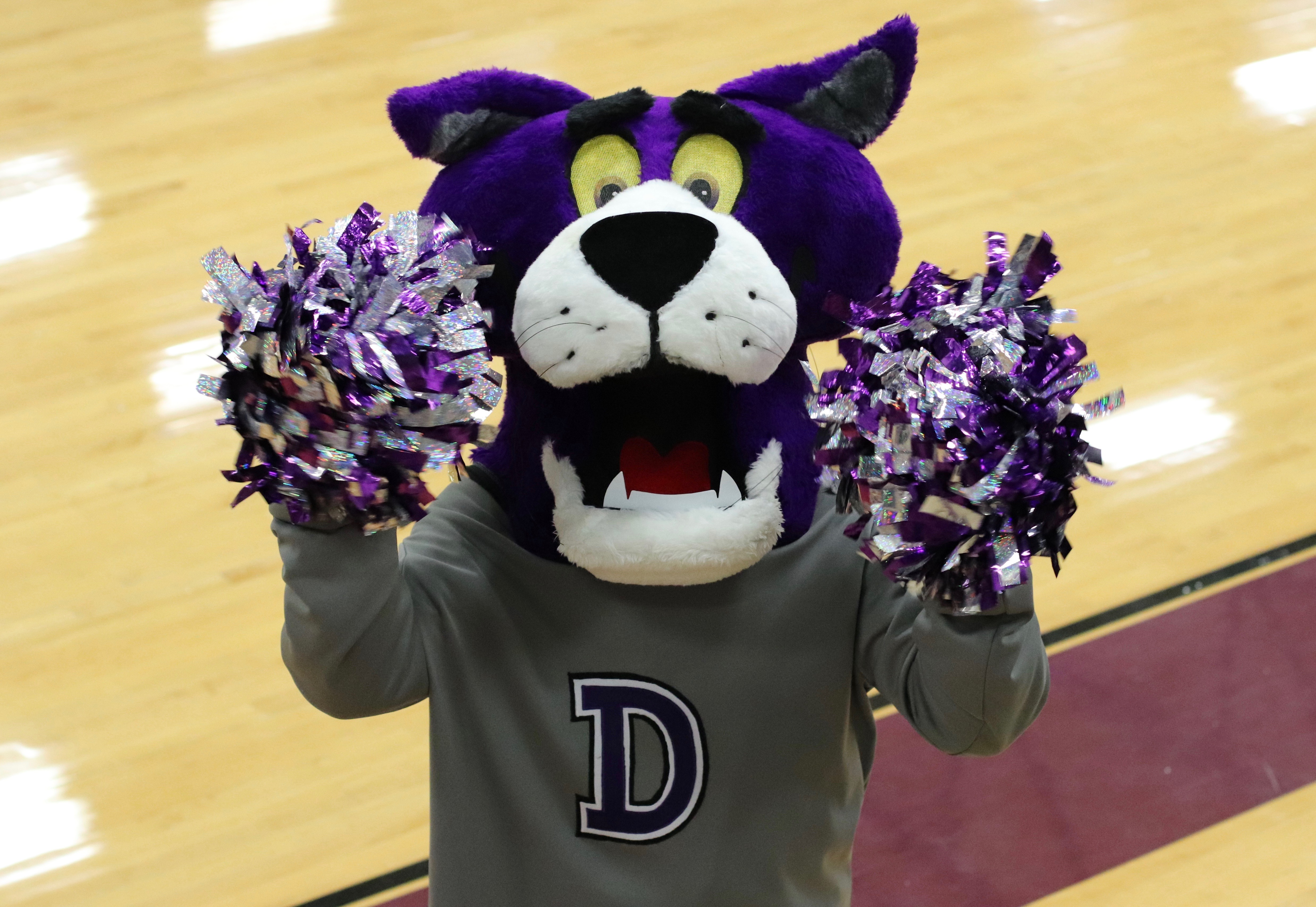 DSIS Panther Mascot showing his school spirit