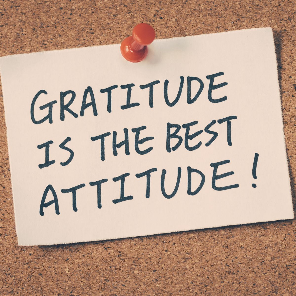 Gratitude is the best Attitude!