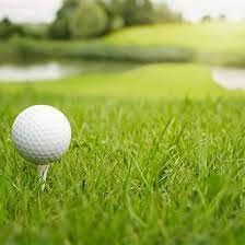 Golf ball on a Tee in the Grass