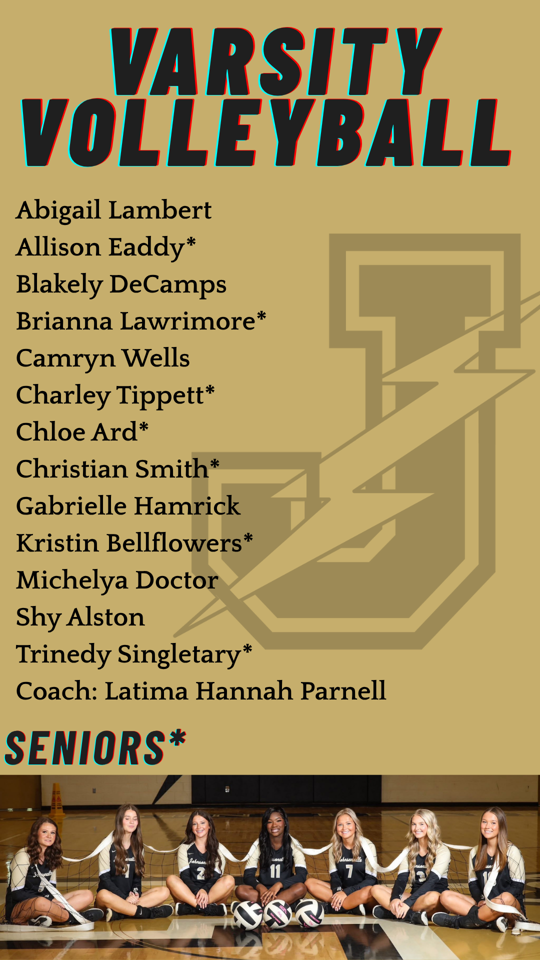 volleyball team