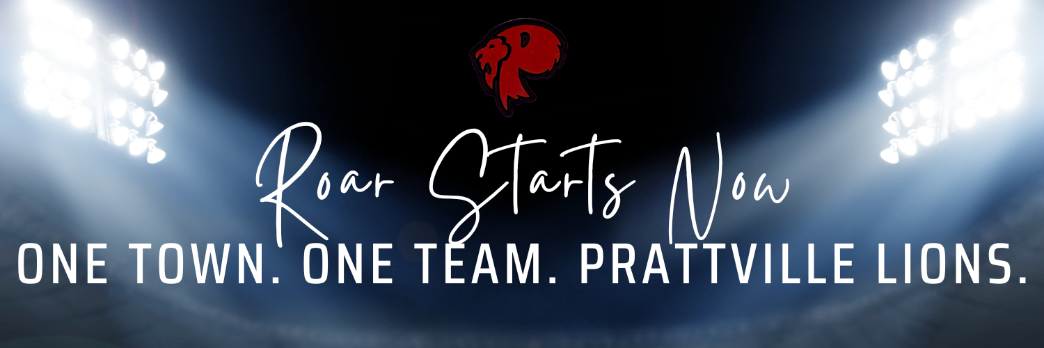 Lions Rebranding Graphic Lions Rebranding Graphic