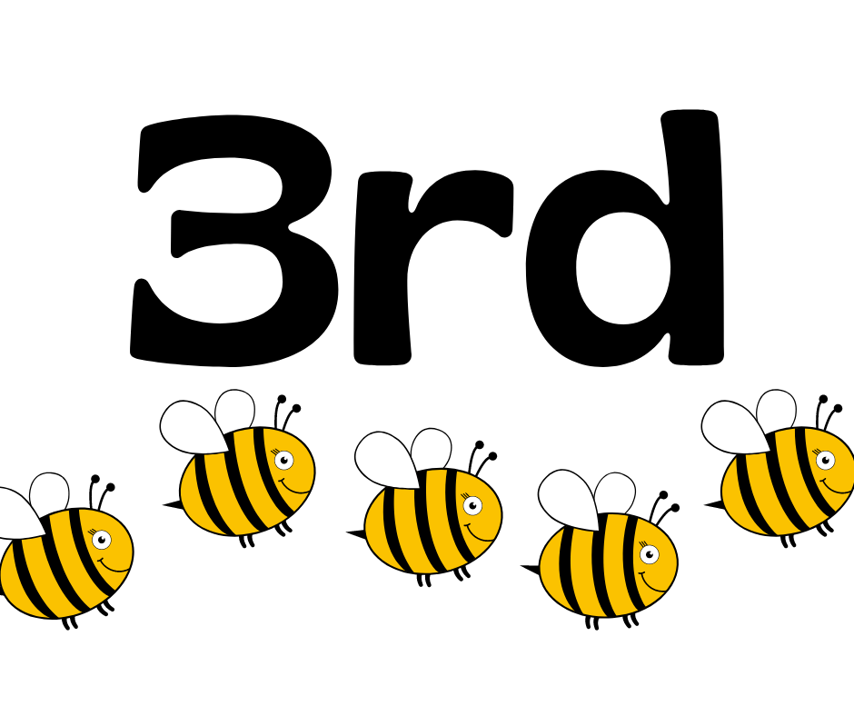 3rd