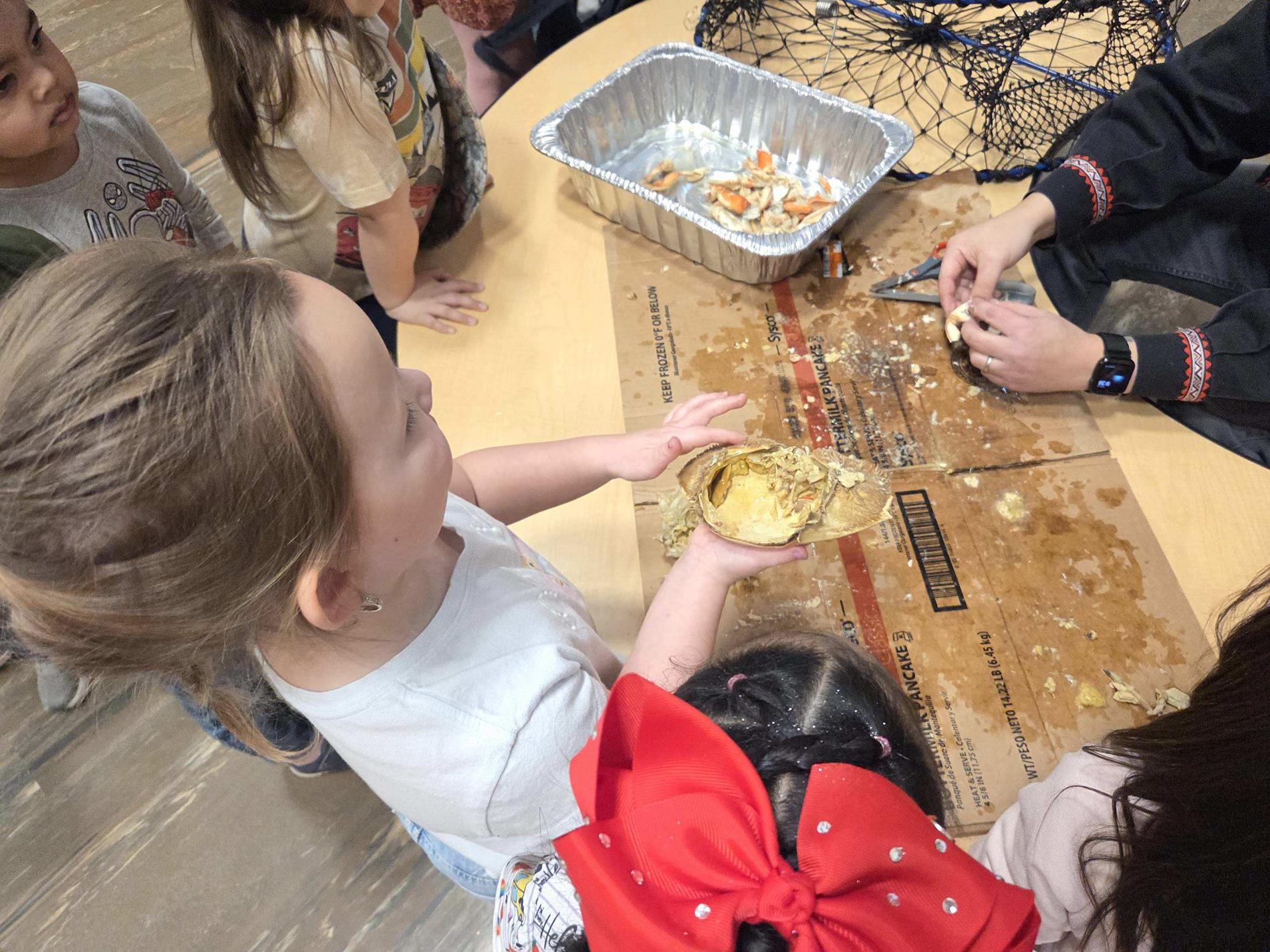 HS student touching crab