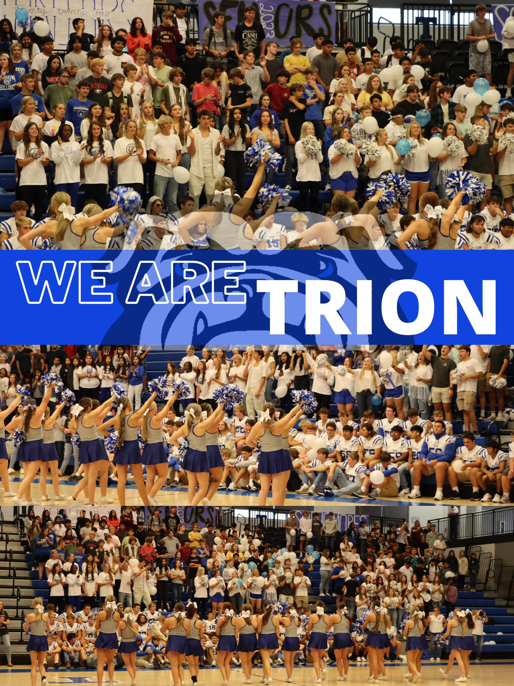 WE ARE TRION