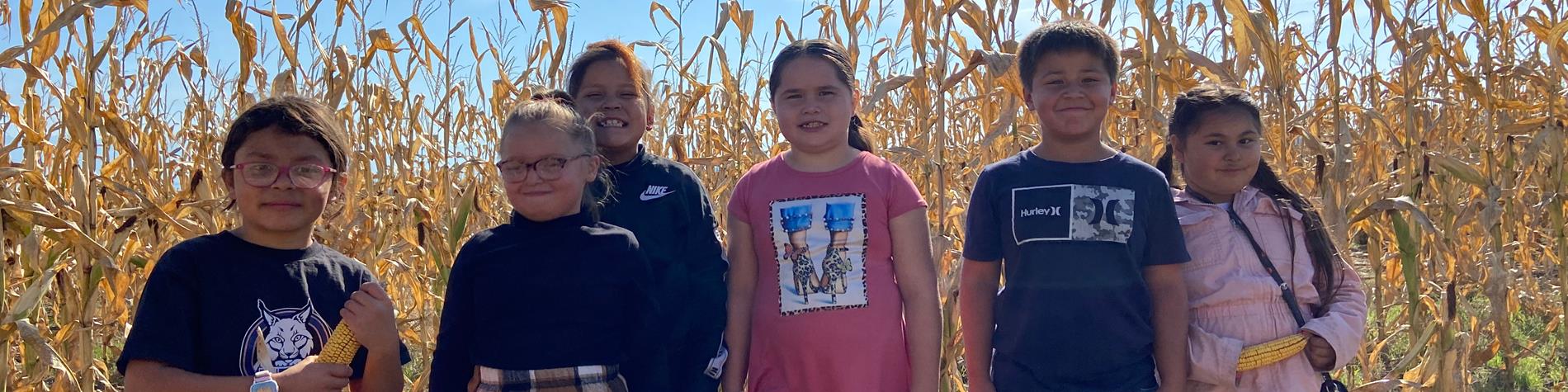 Students in Corn Maze