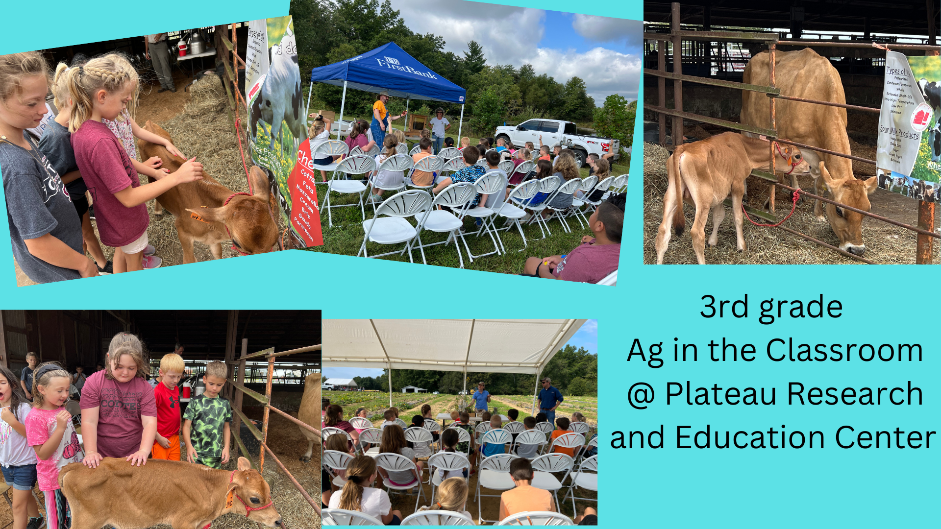 3rd graders enjoying a day on the farm 