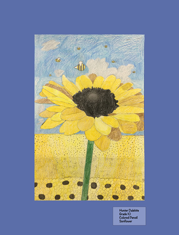 Hunter Dalehite - Colored Pencil - Sunflower