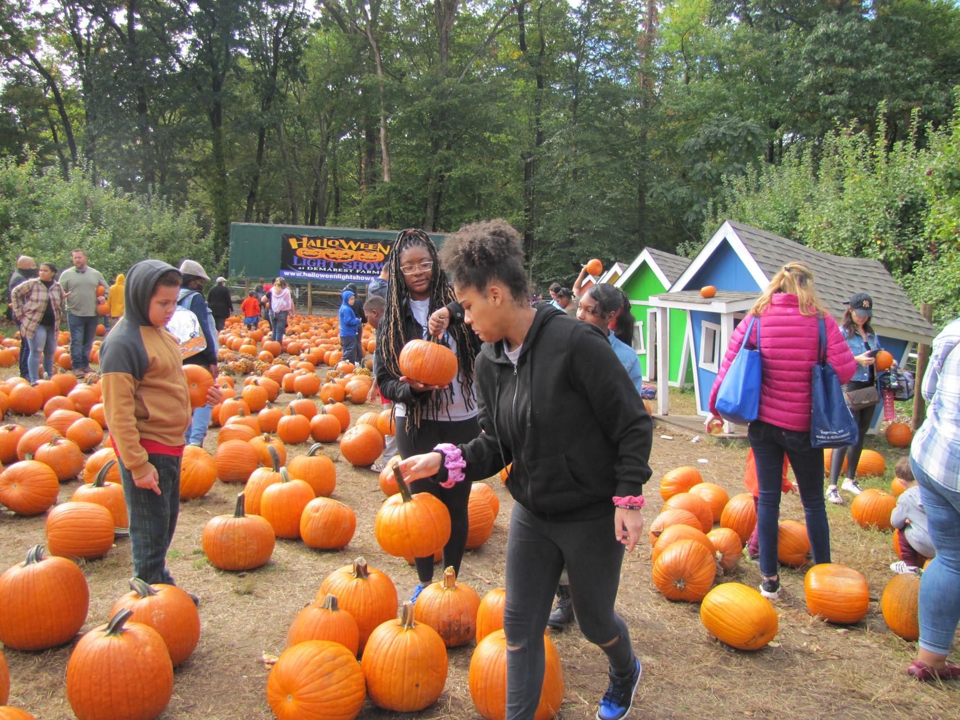 Pumpkin Field Trip