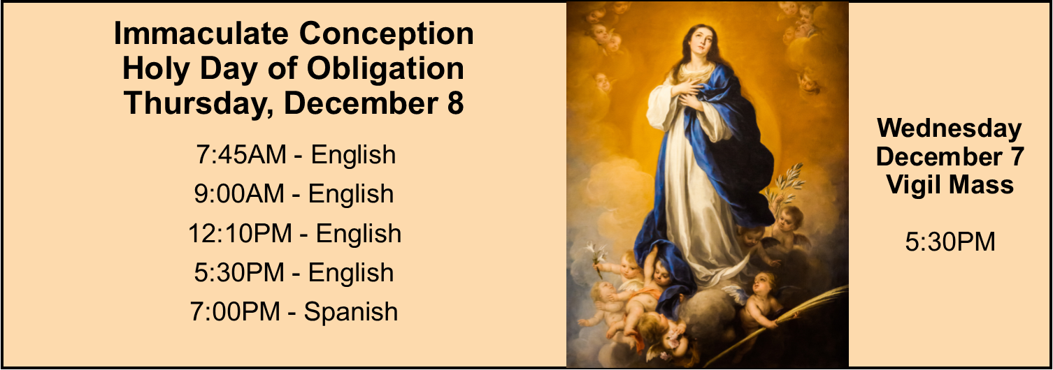 Immaculate Conception-Holy Day