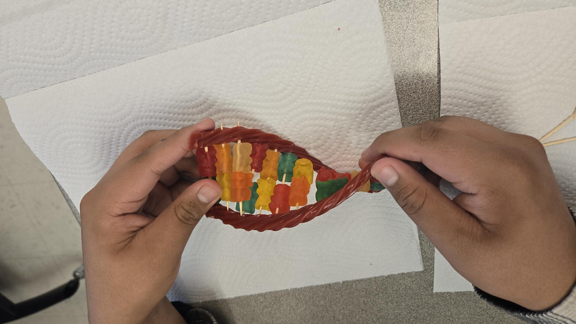 3d Model of DNA by 8th Grade