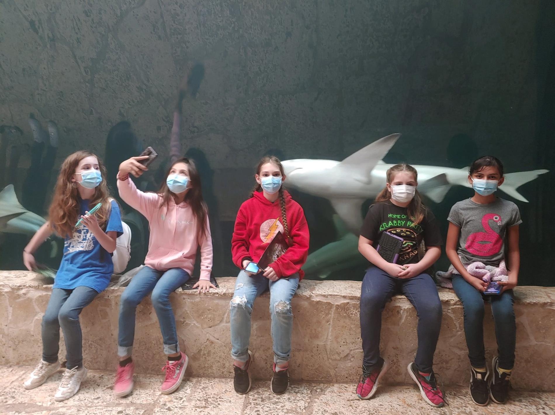 Students at aquarium 
