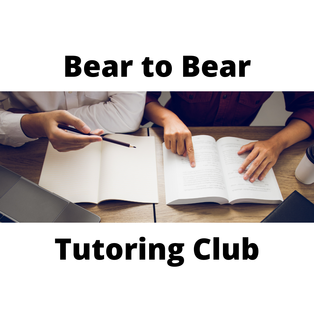 Bear to Bear Tutoring