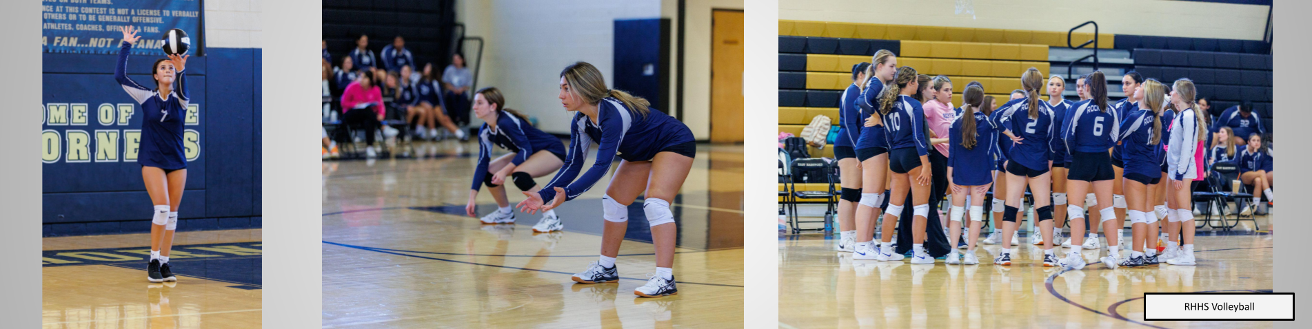 Members of the volleyball team in action