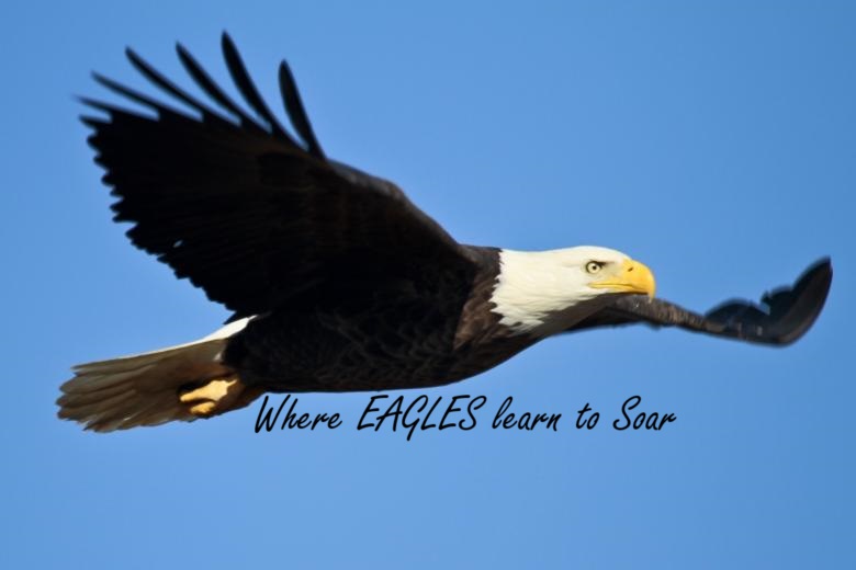 Where Eagles Learn to Soar