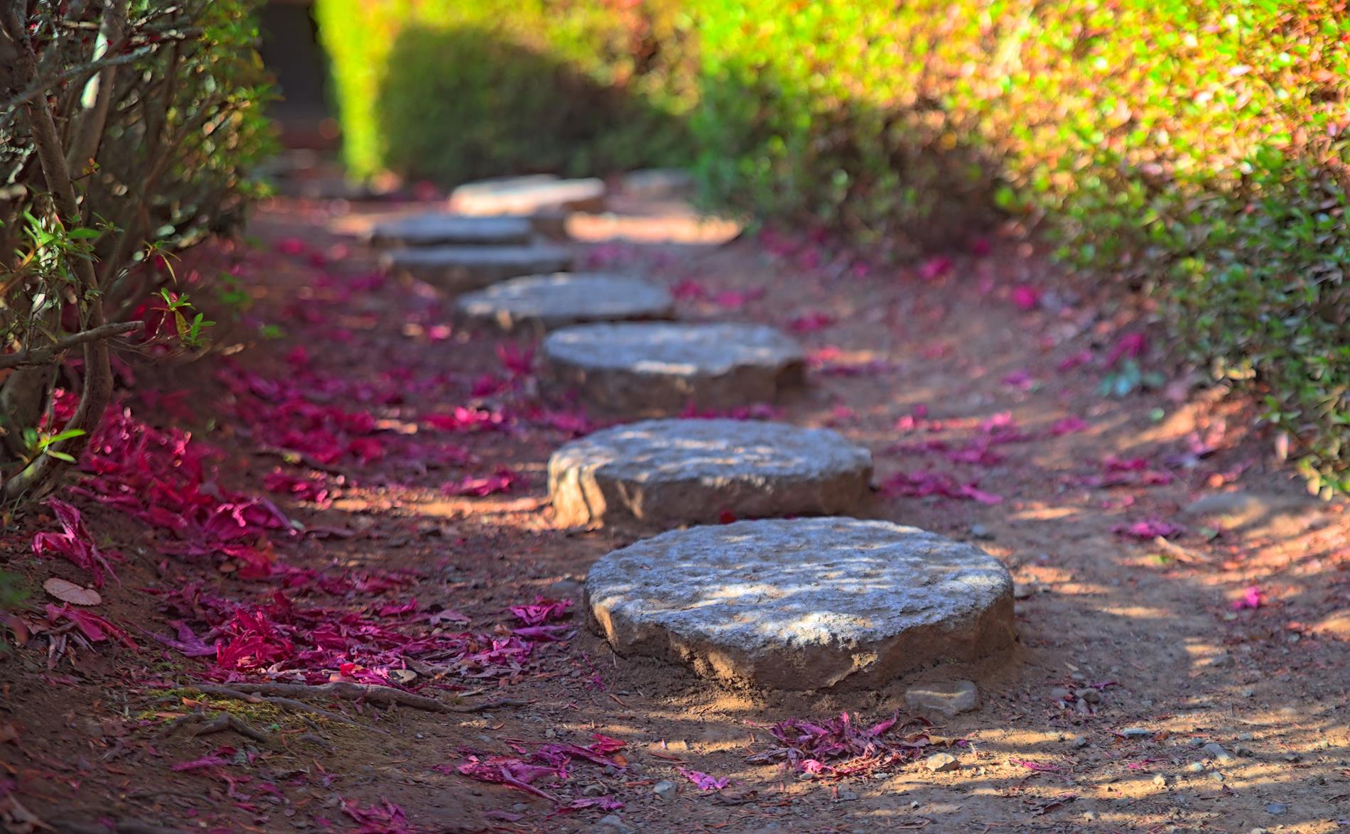 Stepping Stones with red autumn leaves