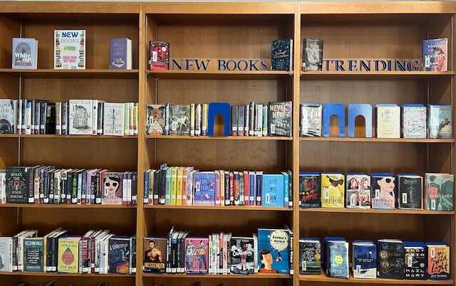 Photos of new fiction, non-fiction, and graphic novels