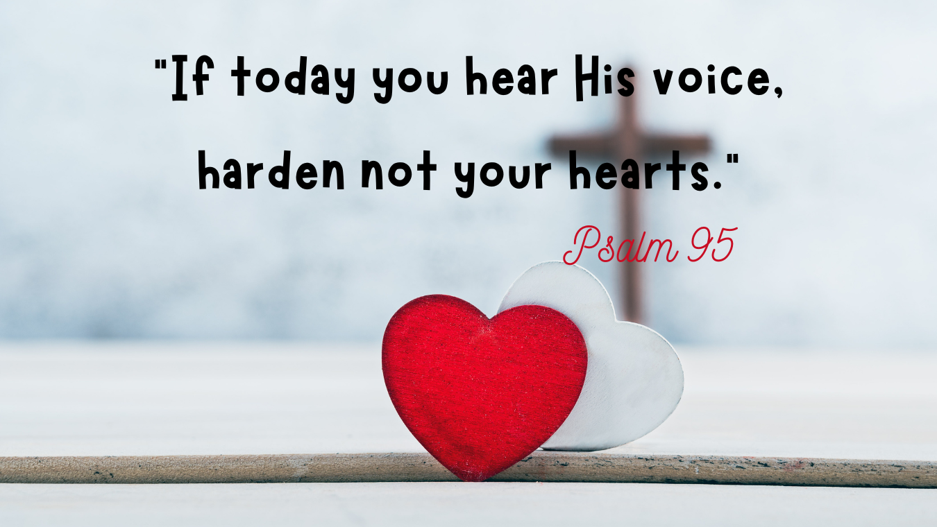 23rd Sunday in Ordinary Time
