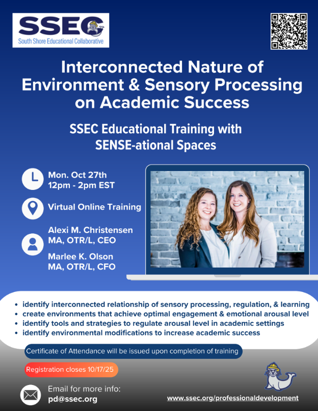 Sensory Spaces flyer