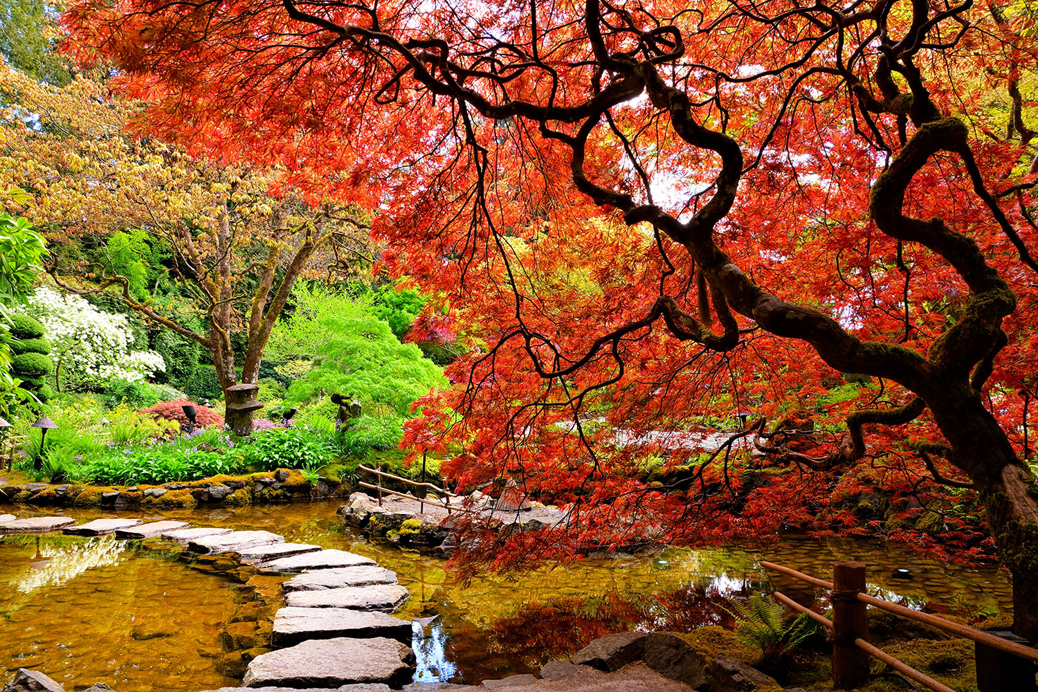 Stepping Stones Fall Colors