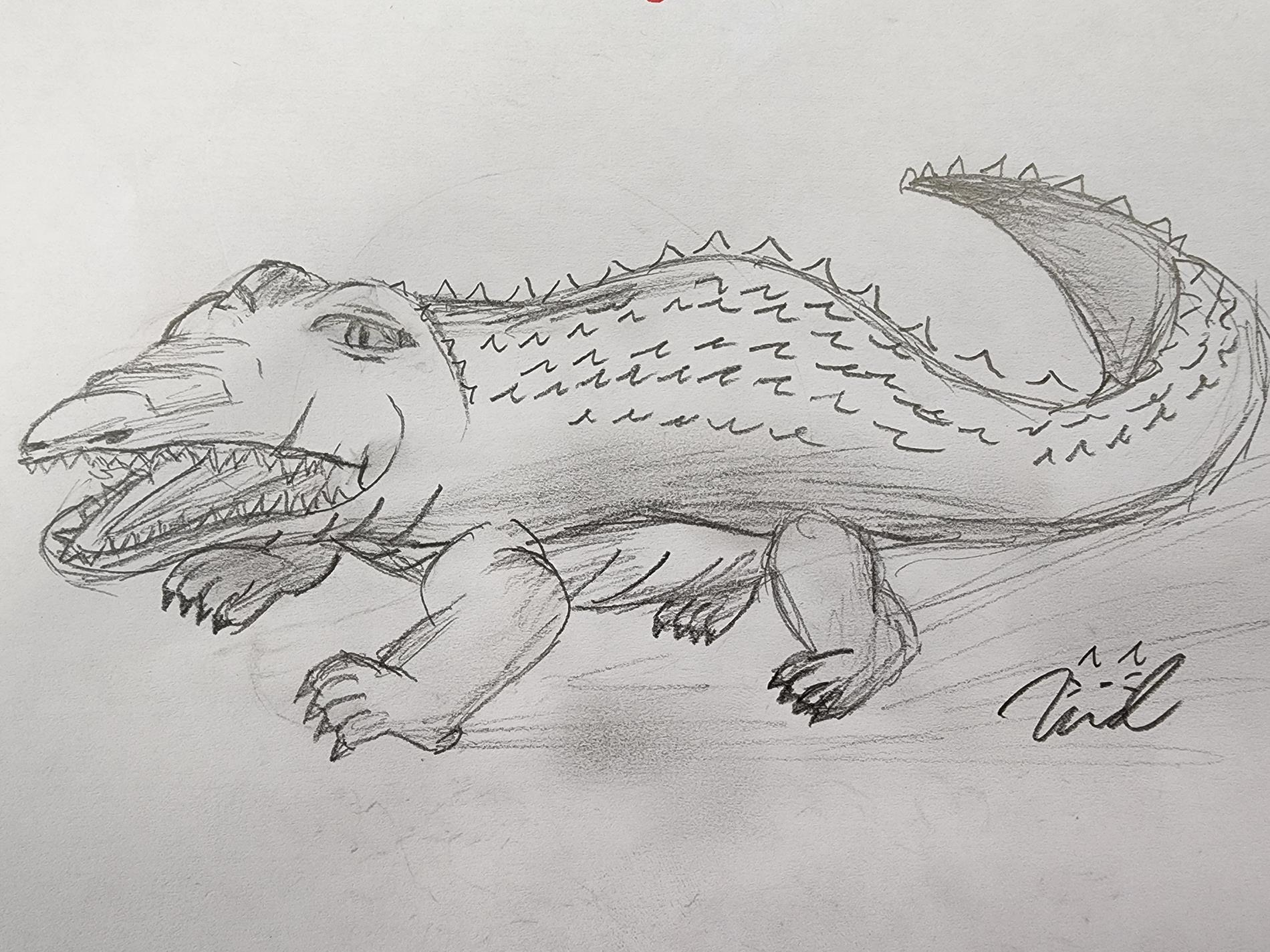 Gator