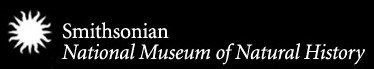 Smithsonian Museum of Natural History