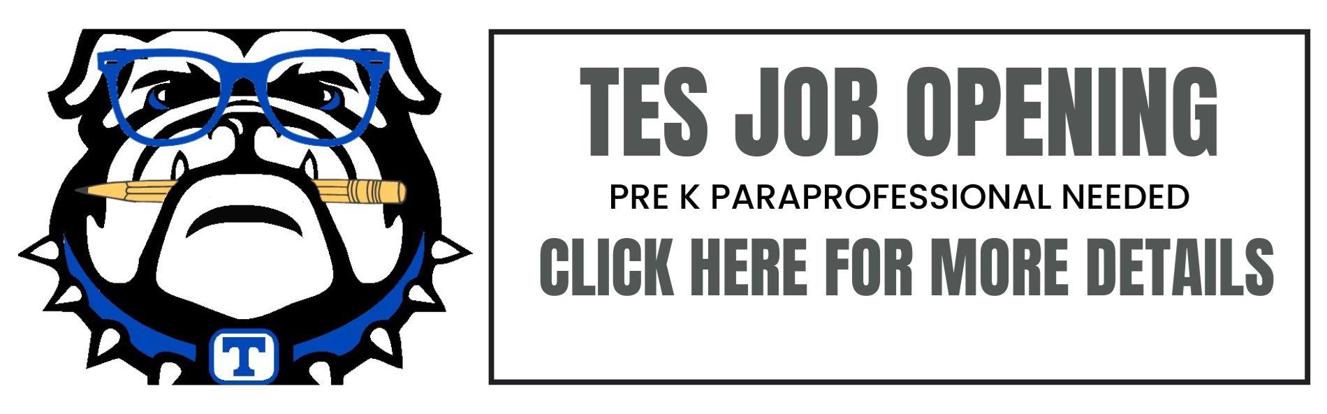 TES JOB OPENING