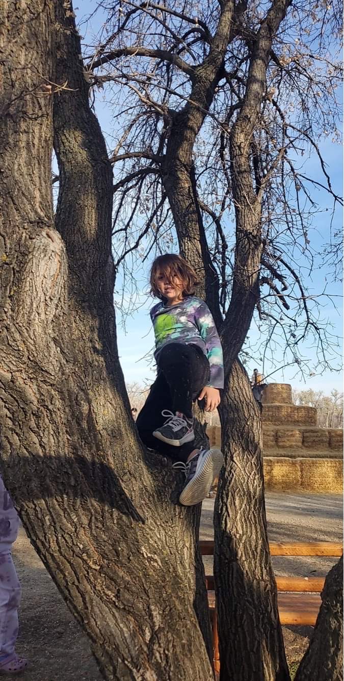 Student in a tree
